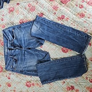 American Eagle Women's Jean Skinny Stretch 8 long